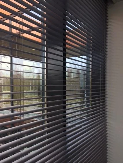 Dark venetian blinds in an office