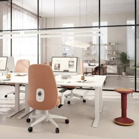 Ergonomische stoel | HEJ HJ116