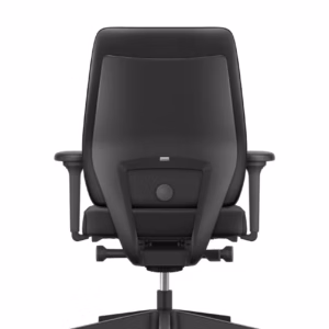 Interstuhl Joyce JC1N1 adjustable 4D armrests