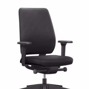 Interstuhl Joyce JC1N1 ergonomic backrest