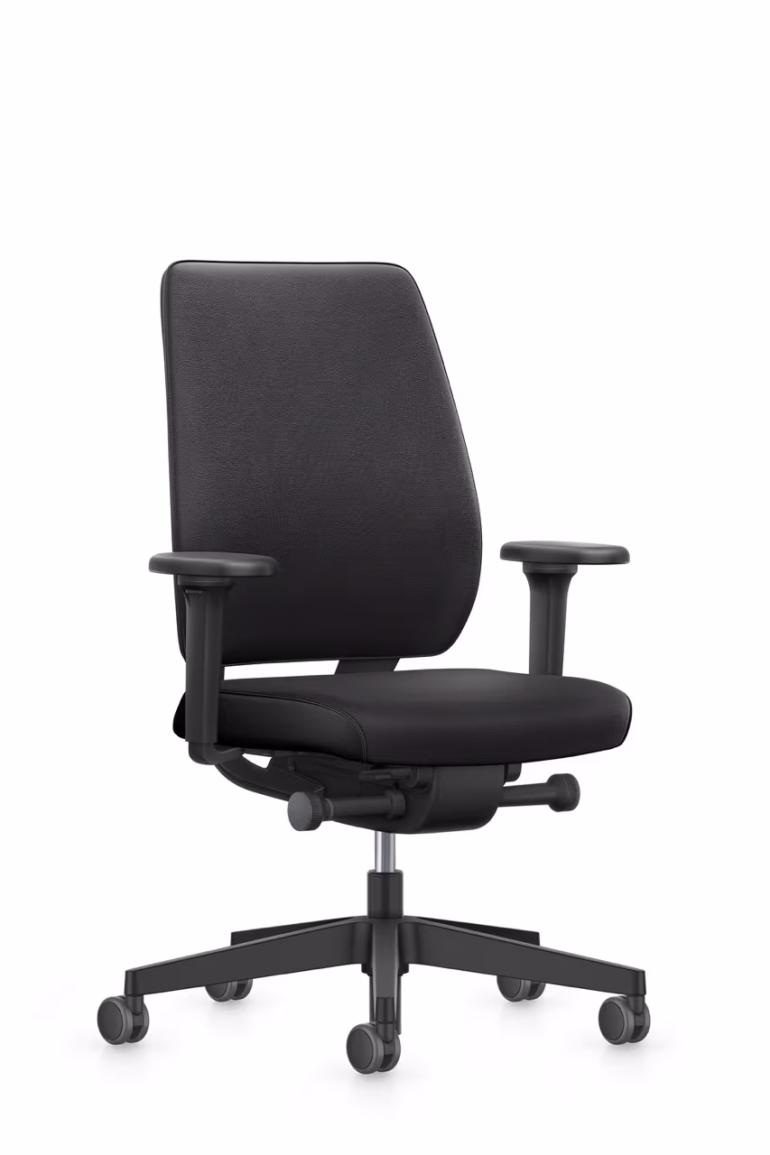 Interstuhl Joyce JC1N1 ergonomic backrest